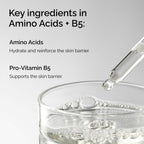 Ingredients of The Ordinary Amino Acids + B5